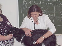 11. Tierheilpraktikerkongress in Frankfurt